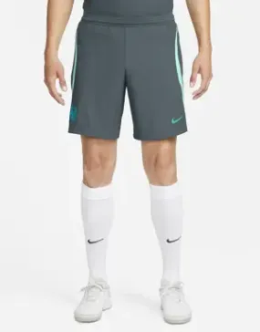 Nike FC Barcelona Strike Elite